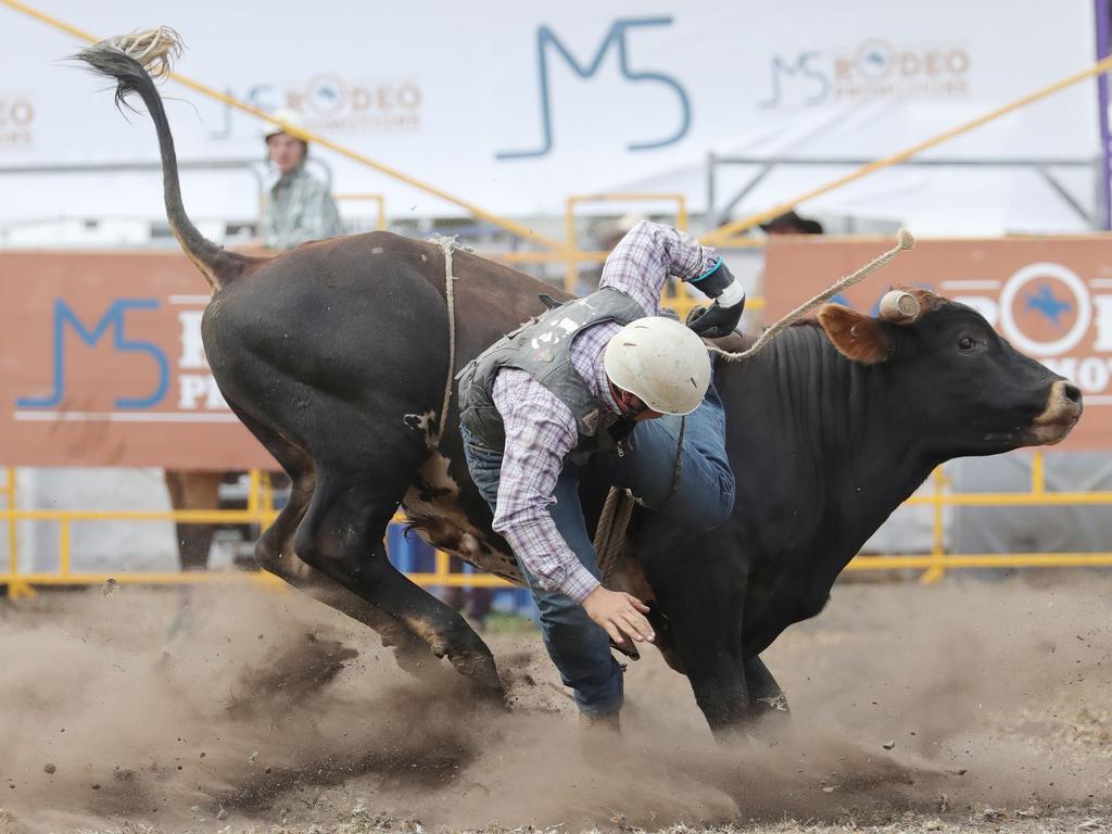 A rider hangs on for dear life. Picture: Mark Wilson