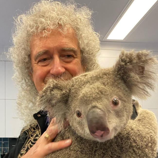 Queen’s Guitarist Brian May visits RSPCA Queensland. Picture: Instagram @Brianmayforreal