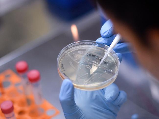 (FILES) In this file photo taken on March 26, 2020 a researcher works on the development of a vaccine against the new coronavirus COVID-19, in Belo Horizonte, state of Minas Gerais, Brazil. - The Brazilian National Health Vigilance Agency (Anvisa) announced on December 2, 2020 that the criteria for the approval of the use of emergency vaccines against COVID-19 in the country were defined. (Photo by DOUGLAS MAGNO / AFP)