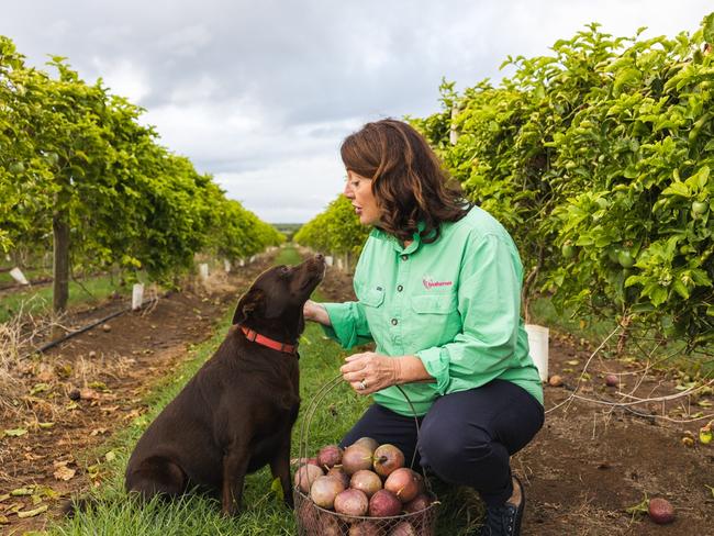 Queensland strawberry grower Tina McPherson, of Tinaberries, Woongarra, between Bundaberg and the Coral Coast, also produces passionfruit.