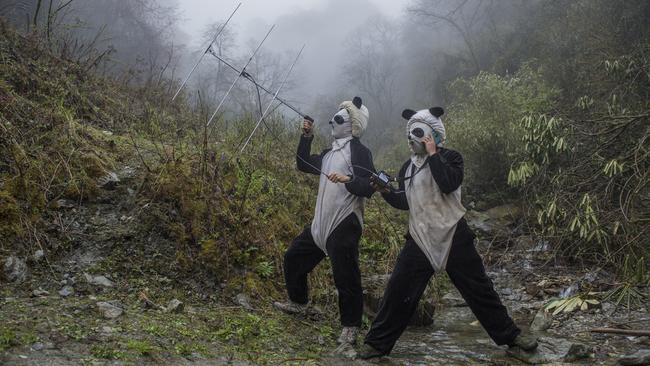 This year's World Press Photo contest winners covered war, conflict and destruction ... and also some lighter topics like this shot from National Geographic Magazine. Picture: Ami Vitale