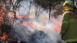 NSW Fire and Rescue firefighters from the Dee Why station had to tackle 25 fires, believed to be deliberately lit, around Dee Why Lagoon in a three-month period. Picture: NSW Fire and Rescue (Dee Why)