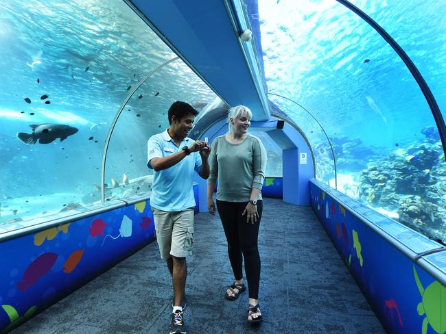 Reef HQ Reef guide Ryan Ramasamy shows American tourist Stephanie Rains through the aquarium when it was open. Picture: Zak Simmonds