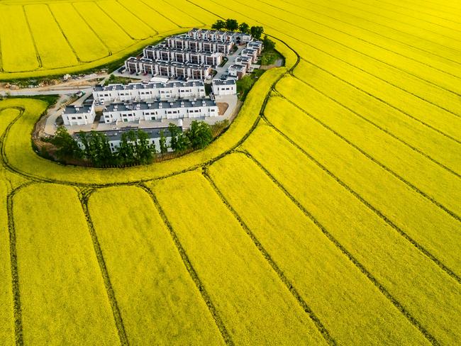 A bird’s-eye view captures the charm of a small town in Swidnica, Poland, nestled amid radiant rapeseed fields. Picture: Agnieszka Wieczorek/TNC Photo Contest 2023