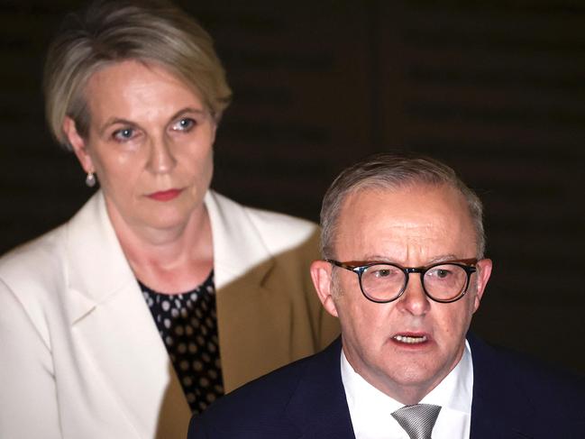 Prime Minister Anthony Albanese with Environment Minister Tanya Plibersek