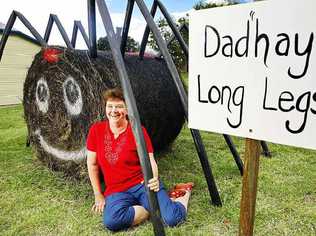 Shirley Ernst with her hay sculpture Dad'hay' Long Legs in Kalbar. Picture: Claudia Baxter