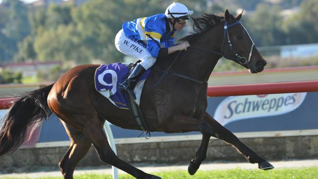 belmont races 9.8.2014 race 7 No. 9 Smoko ridden by William Pike wins the Belmont Newmarket.