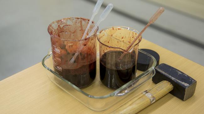 The tools of the trade — sterilised horse blood, a hockey puck and a mallet. Photo: Richard Tuffin.