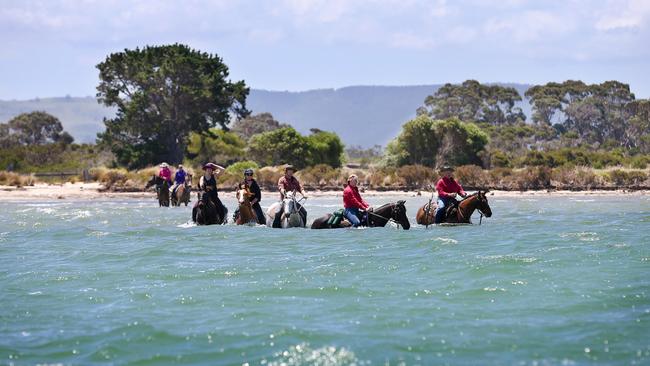 Riders on a tour with the Snake Island Cattlemen’s Association. Picture: Andy Rogers