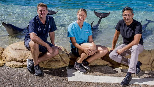 Head of Marine Sciences Wayne Phillips, veterinarian Claire Madden and Village Roadshow Theme Parks chief operating officer Bikash Randhawa who has condemned Saturday’s planned protest. Picture: Jerad Williams