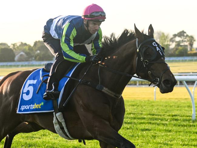 MELBOURNE, AUSTRALIA - OCTOBER 15: Tim Clark riding Eliyass during Caulfield Cup Gallops at Caulfield Racecourse on October 15, 2024 in Melbourne, Australia. (Photo by Vince Caligiuri/Getty Images)