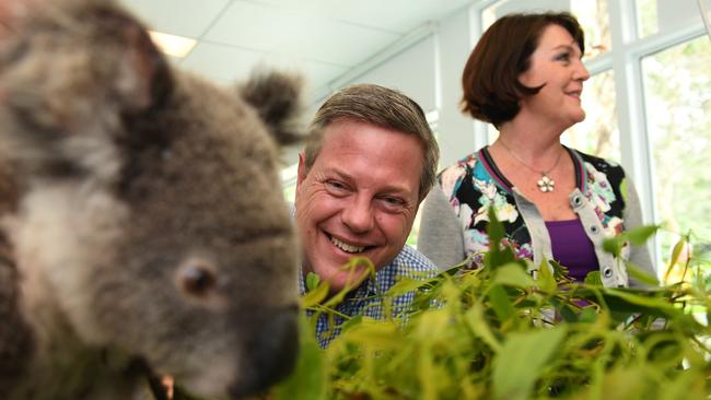 Queensland Opposition Leader Tim Nicholls, joined by the Member for Currumbin Jann Stuckey, on the campaign trail. (AAP Image/Dan Peled)