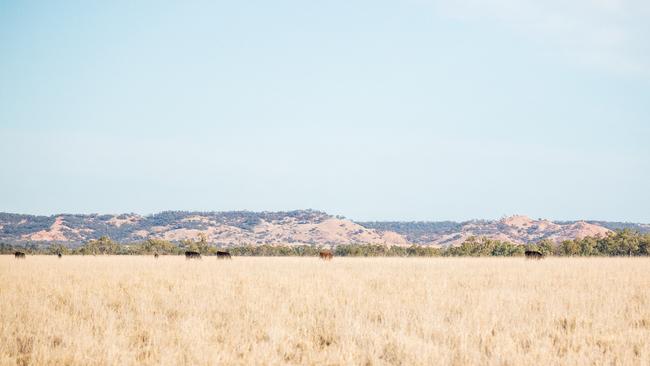 Baratria at Winton in Western Queensland is for sale.