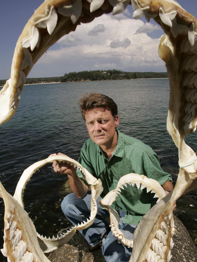 Shark expert Vic Peddemors says the best way to scare away a shark by wearing repellent.