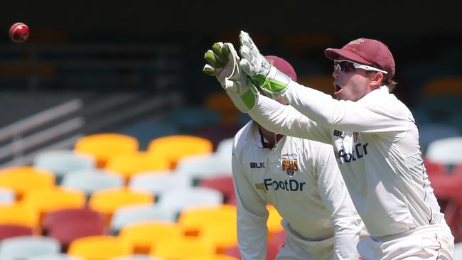 Queensland wicketkeeper Chris Hartley equals the Shield dismissals record. Picture: Jono Searle.