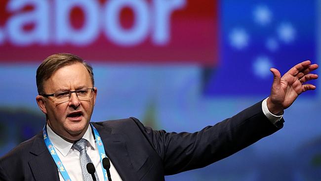 Senior Federal Labor Frontbencher Anthony Albanese Will Stand For Old Seat With New Look 6392