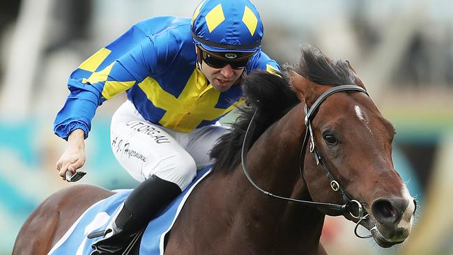 Dawn Passage is the new favourite for the Stradbroke after winning the Inglis Guineas at Rosehill Gardens. Picture: Getty Images