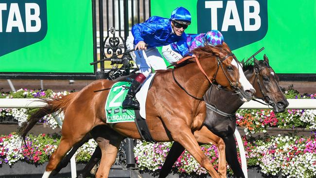 Tabcorp is seeking a level playing field in NSW.