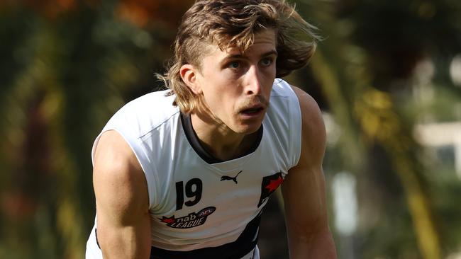 Northern Knights skipper Joel Trudgeon. Picture: Michael Klein