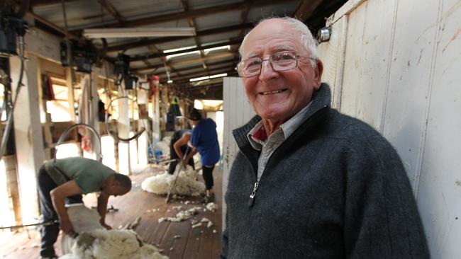 Competitive clicks: Bob Rollinson during shearing at Concordia in the Mysia district of Central Victoria last month. Picture: Dale Webster