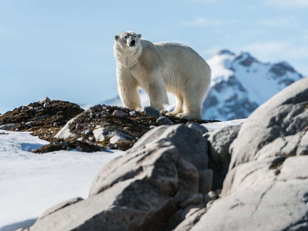 Researchers argue that warming weather could increase risks further if new potential hosts move into previously inhospitable regions.