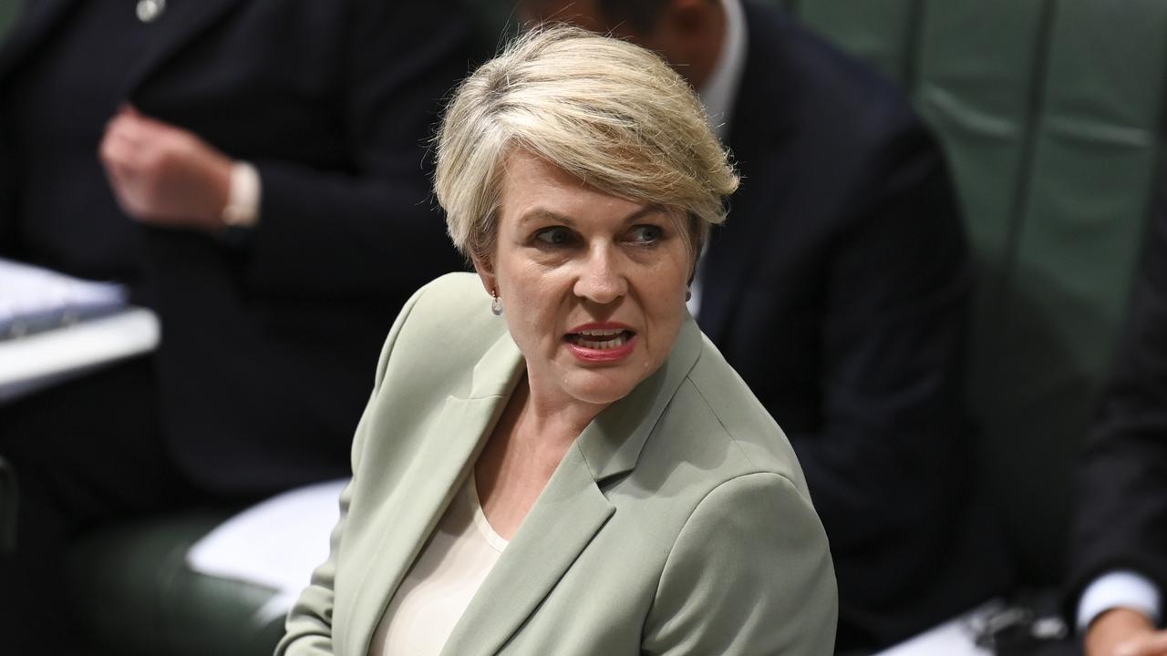 Minister for Environment and Water Tanya Plibersek took aim at the Coalition over its decision not provide costings for its landmark nuclear plan. Picture: NCA NewsWire / Martin Ollman