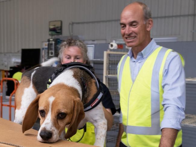 Sasha the Biosecurity detector dog demonstrates her skills for minister Guy Barnett and her handler Natalie Webb. Picture: Grant Wells.