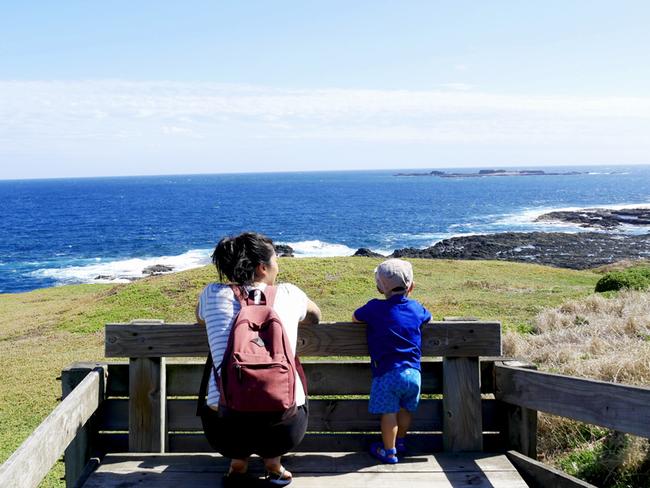 Taking in the view. Picture: Tina Pik