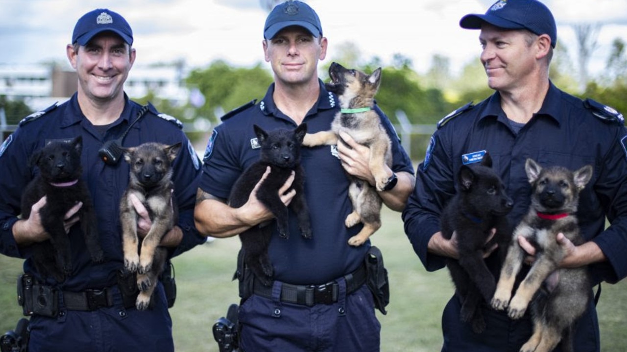 New Dog Squad Announced For Queensland Police 