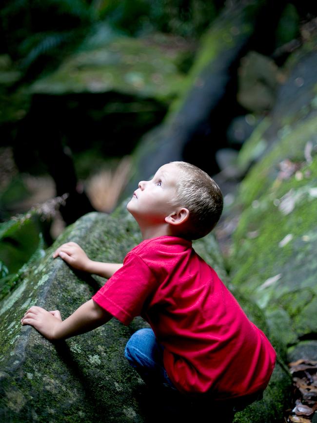 Strickland State Forest features in the advertising campaign.