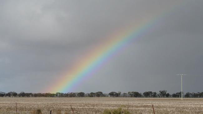 Rainbow near Lalbert. Long awaited rain across the Mallee has helped grain and oil seed crops get a start.