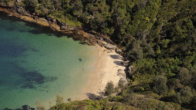 Police divers pulled a man’s body from Sydney Harbour after a swimmer went missing over the long weekend.