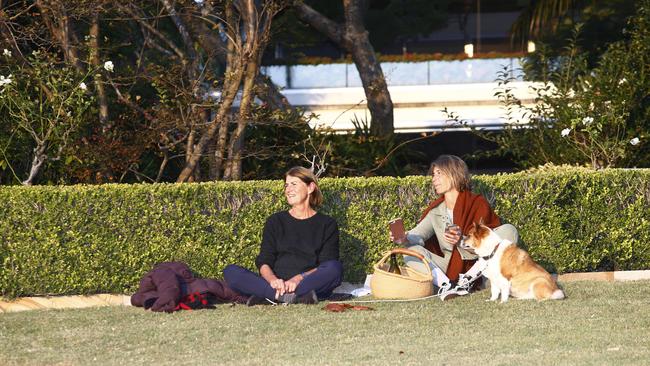 Non-residents drop into the front lawn to enjoy the music. Dogs invited! Picture: John Appleyard