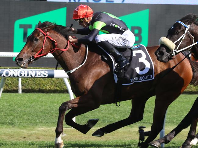 Further blood tests will be conducted on Think About It to confirm his place in Saturday's Group 1 George Ryder Stakes at Rosehill. Picture: Grant Guy