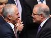 ‘Budget all about Newspoll’