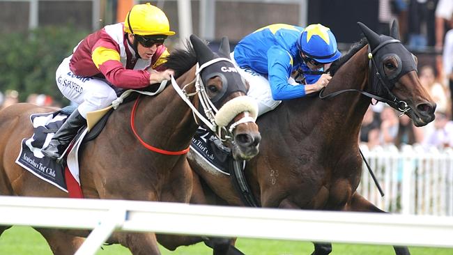 Index Linked (left) will be tough to beat over 1600m at Randwick today. Picture: Simon Bullard