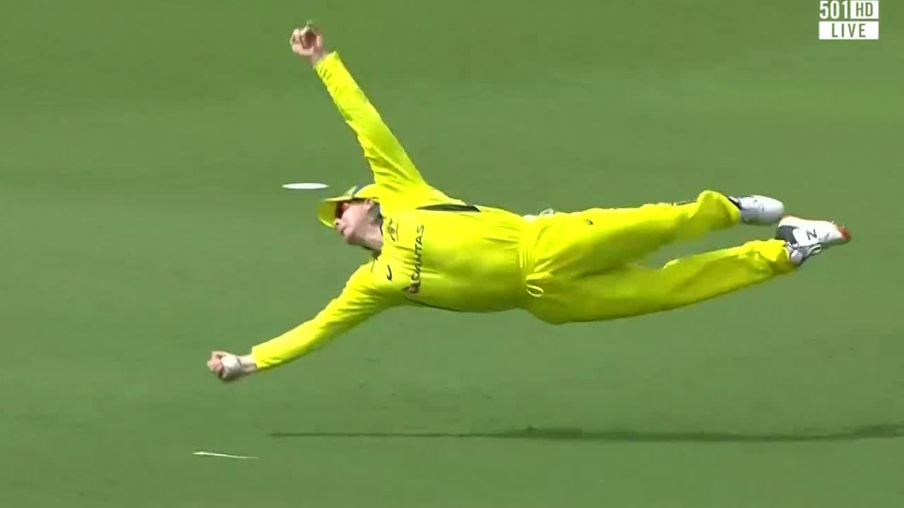 Cricket loses it for ‘catch of the century’