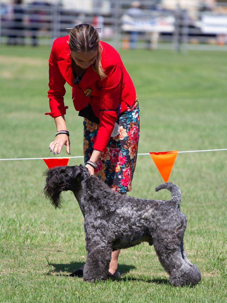 The competition was fierce in the dog ring at the 2023 Murgon Show.