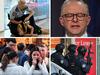 Live: Six dead in horror Westfield attack