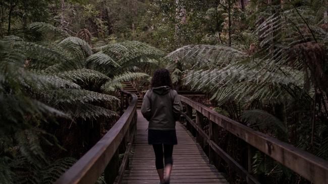 The Project X site at Hastings Cave State Reserve. Picture: REMI CHAUVIN