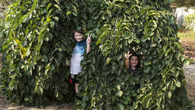 Weeping wonder: Tony's grandchildren Liam and Maeve in the weeping elm mentioned in this column. Picture: Fawcett Media