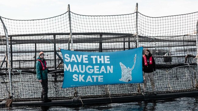 Bob Brown Foundation activists putting a banner up on a salmon pen in Macquarie Harbour. Picture: Supplied.