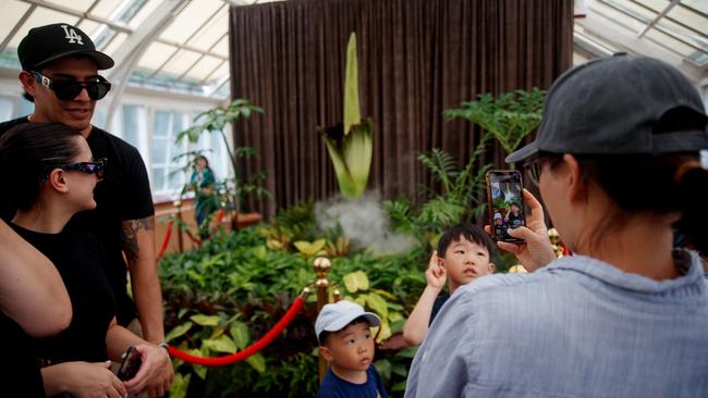 Visitors pose with the flower on Thursday. Picture: NewsWire / Nikki Short