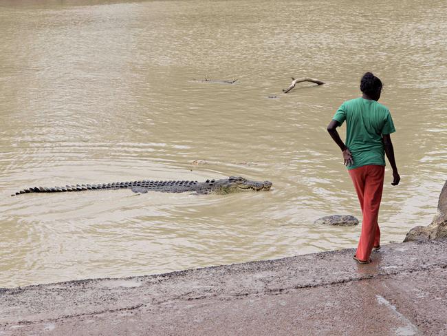 NT News’ most amazing croc videos