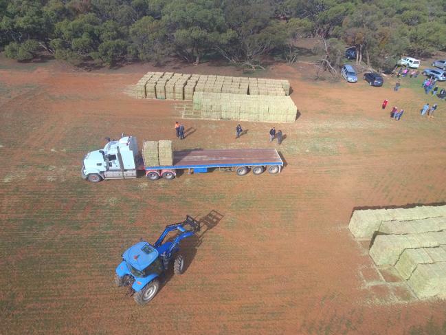 Rural Aid and Qantas hay drop 90 min outside of Adelaide at Eudunda where appx 40 local farmers gathered to pick up hay and feed pellets for their stock. Drone pics by Tristan Zerber