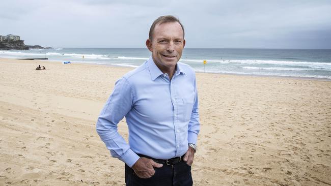 Tony Abbott, the MP for Warringah at Manly Beach. Picture: John Feder