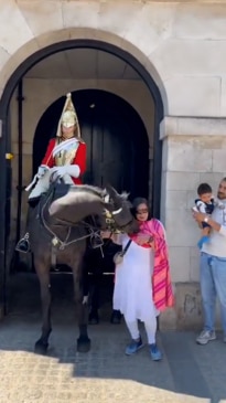 King's Guard horse bites unsuspecting tourist