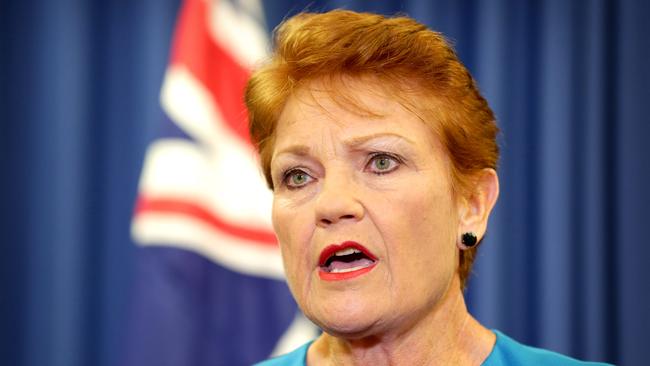 One Nation founder Pauline Hanson accused Mr Burston of being a “sexual predator”, he told the court. Picture: Steve Pohlner