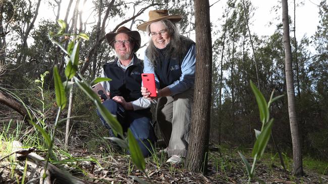 Robert and Rosalie Lawrence of Brooklyn Park are the driving force behind Wild Orchid Watch, a national citizen science project designed to collect, record and share scientific information about Australian native orchids. Picture: Tait Schmaal