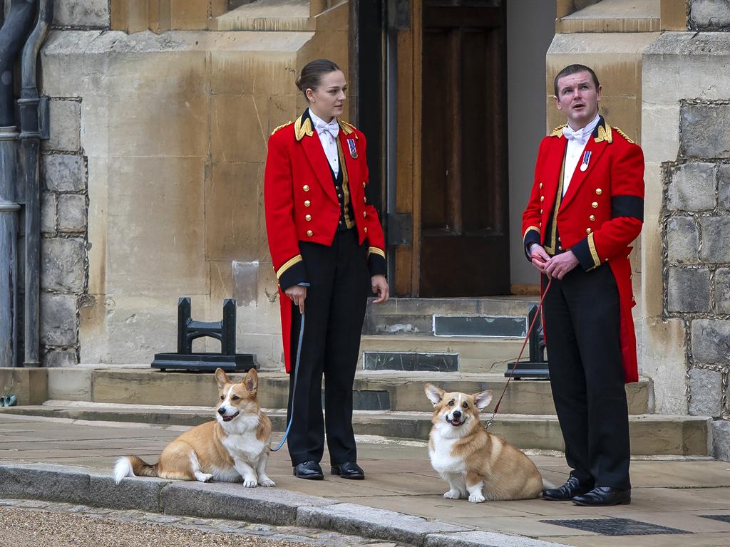 Members of the Royal Household stand with the Queen's royal Corgis, Muick and Sandy as they wait for the funeral cortege in Windsor. Picture: Justin Setterfield/Getty Images